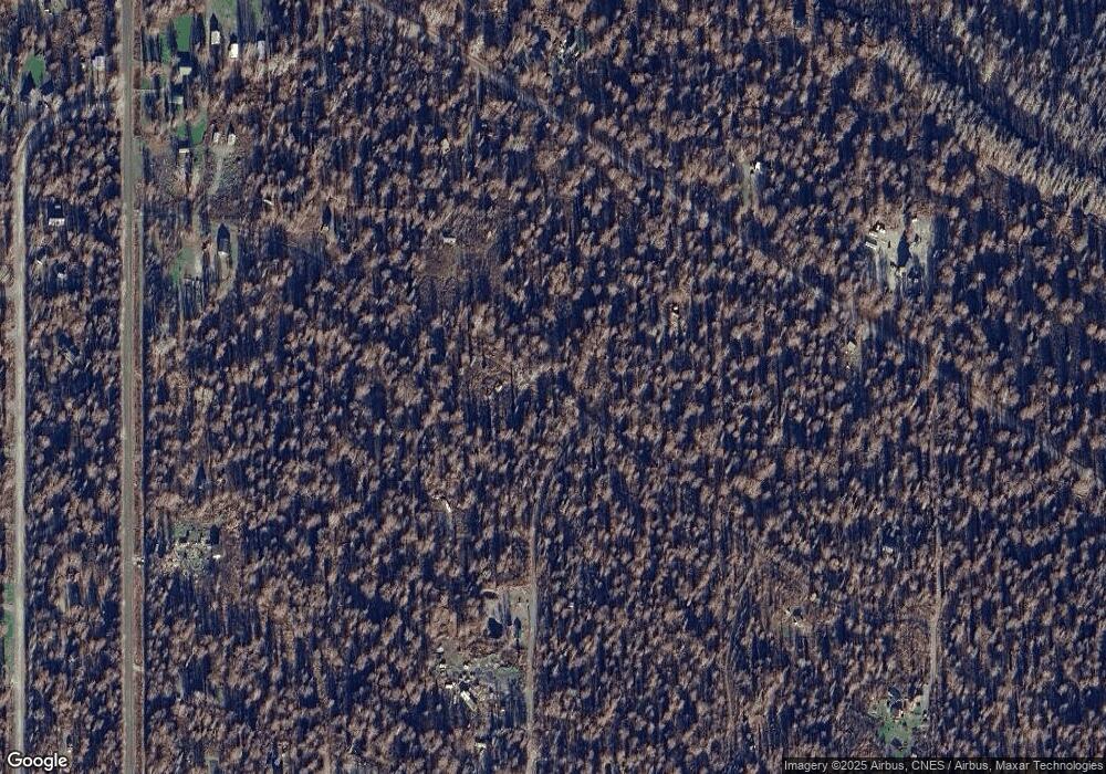 L1 BG Wolf Trail, Talkeetna, AK - photo 1