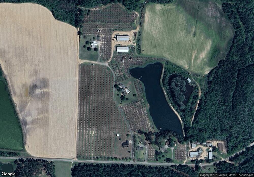 278 Eagle Rd, Wray, GA 31798 - photo 1