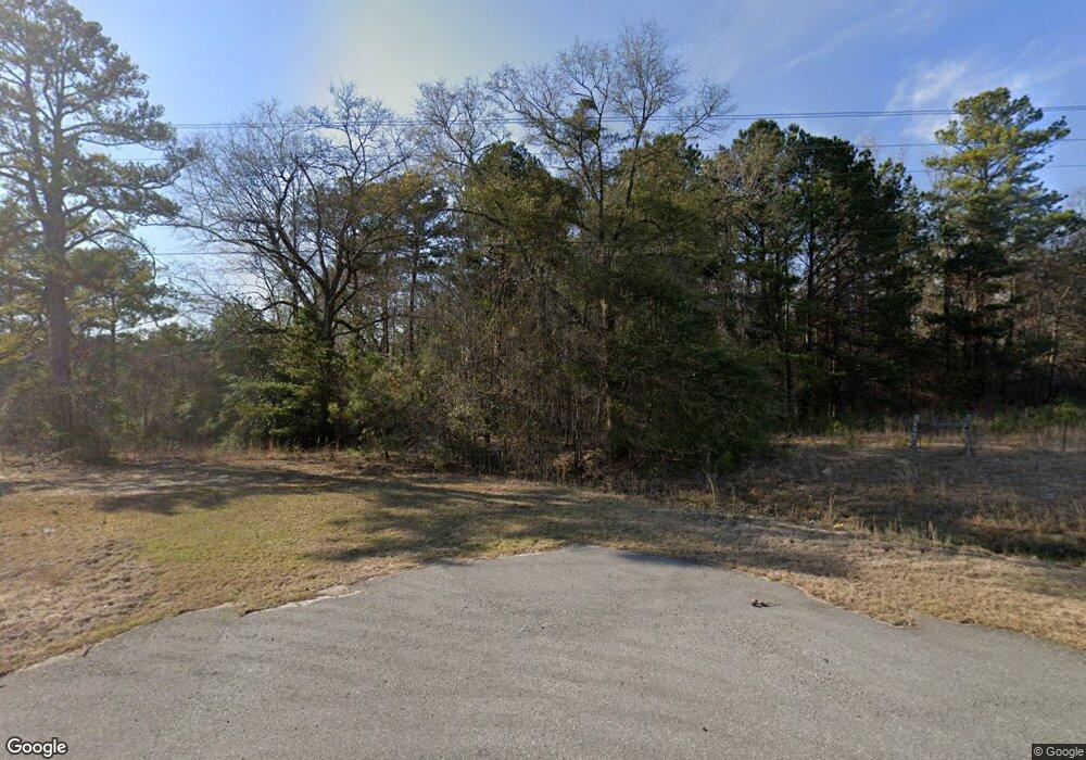 3010 Columbus Hwy, Box Springs, GA 31801 - photo 1