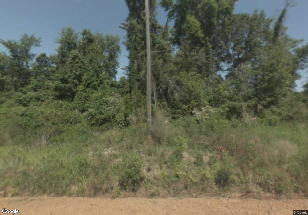 1125 Obie Griffin Rd, Alapaha, GA 31622 - photo 1