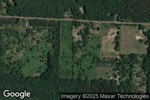 11825 River Rd, Brethren, MI 49619