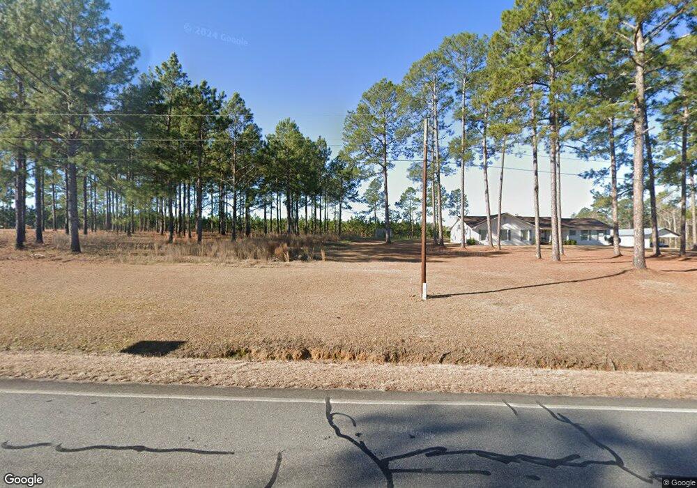 364 Us Highway 221 S, Mount Vernon, GA 30445 - photo 1