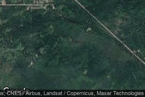4875 Wilds Rd, Ossineke, MI 49766