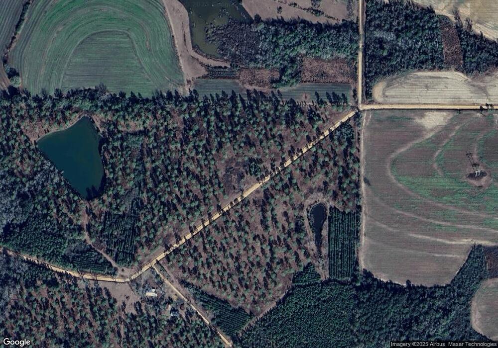 1279 Tisha Cooper Rd, Meigs, GA 31765 - photo 1