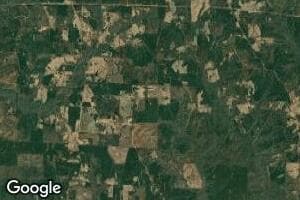 0 Cash Cir, Millport, AL 35576