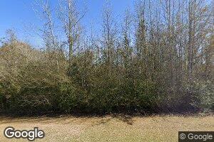 3378 Stage Coach Rd, Meigs, GA 31765