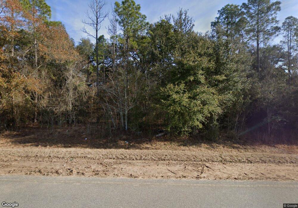 834 Thompson Town Rd, Colquitt, GA 39837 - photo 1