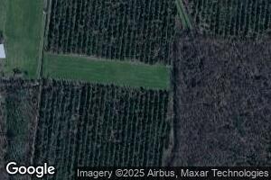 1721 Rock Rd, Sicily Island, LA 71368