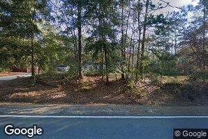 4295 Fowlstown Rd, Attapulgus, GA 39815