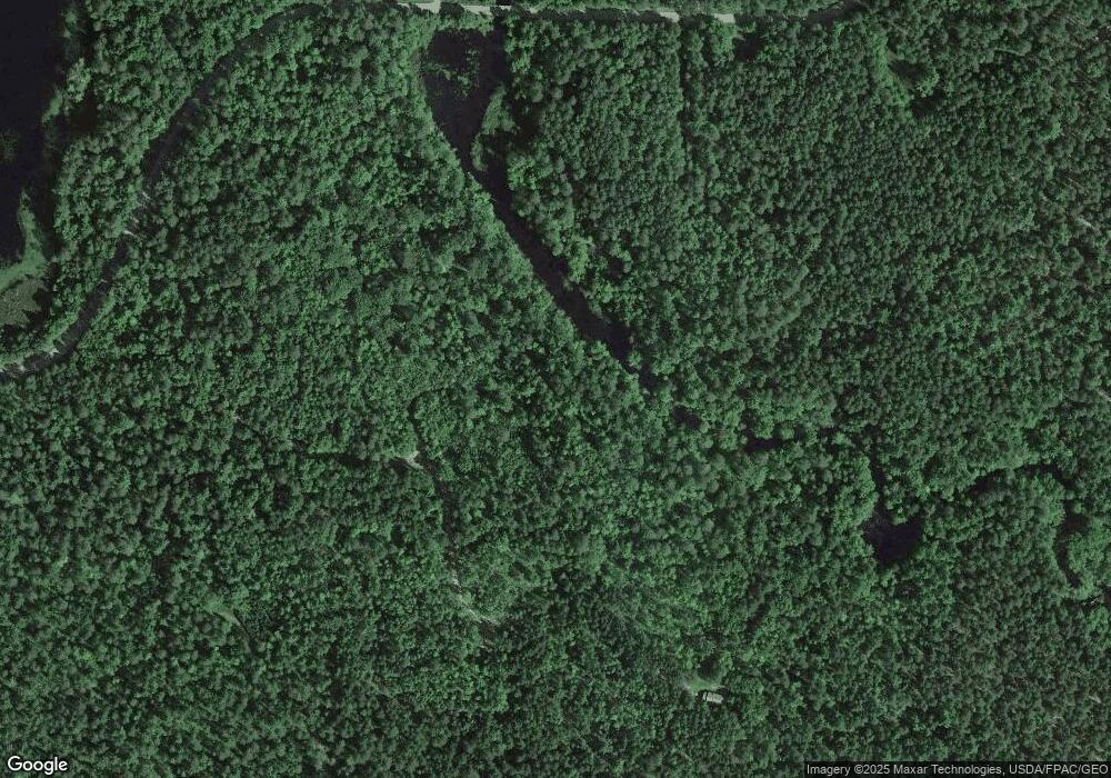 W8335 Somo Dam Dr, Tomahawk, WI 54487 - photo 1