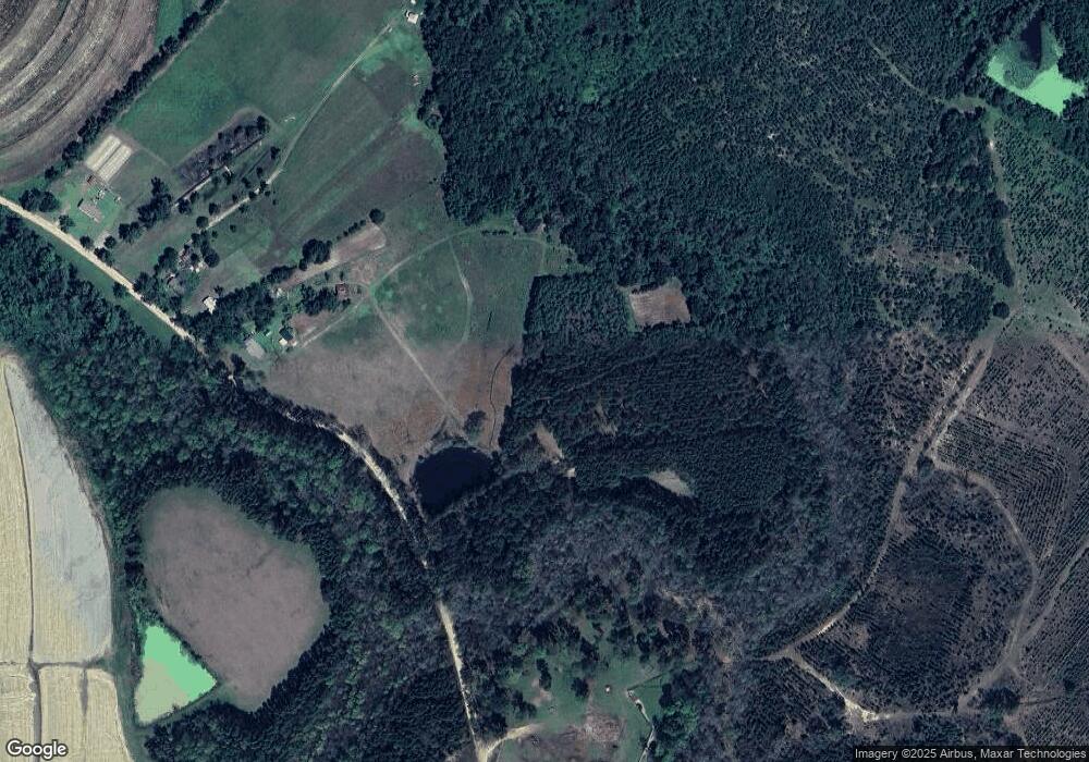 349 Charlie W Williams Rd, Lyons, GA 30436 - photo 1