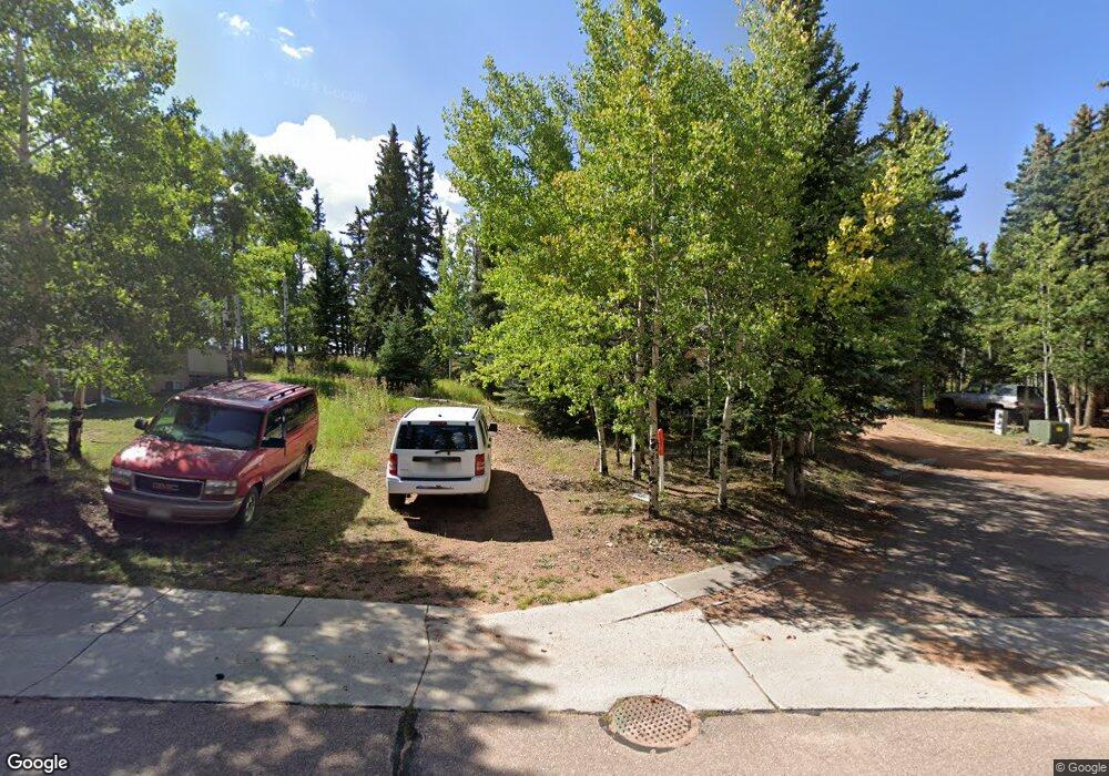 197 Shannon Place, Divide, CO 80814 - photo 1