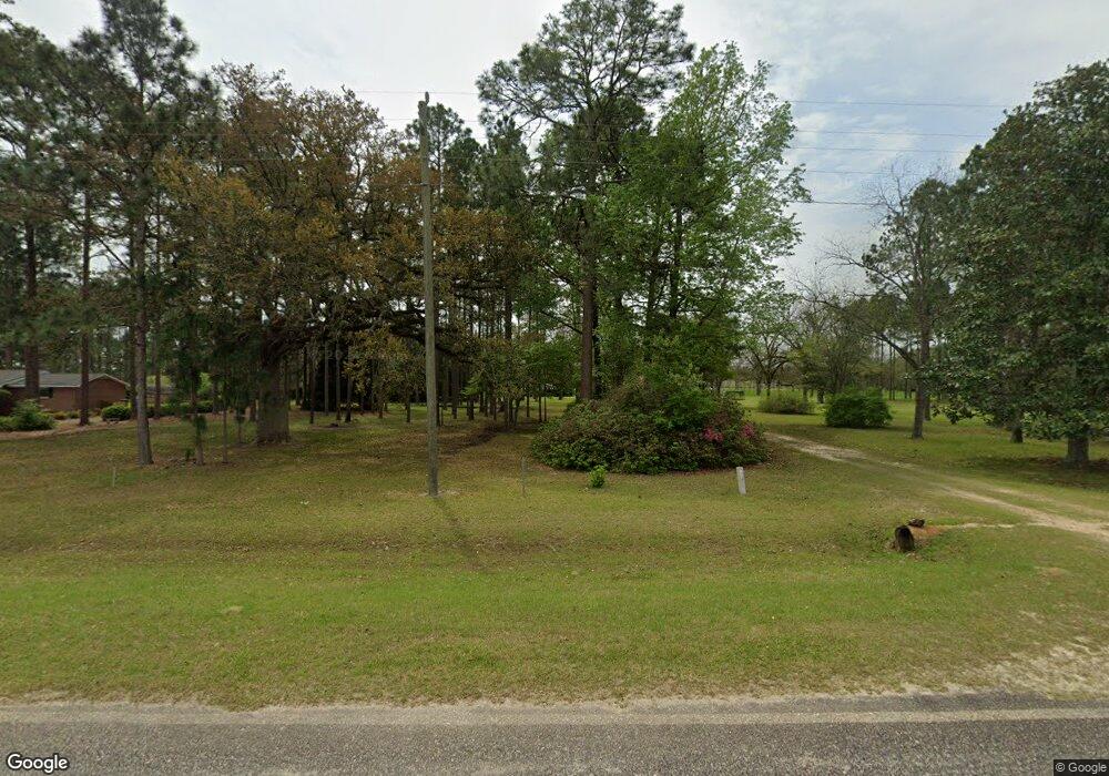 6725 Lodgetown Rd, Pelham, GA 31779 - photo 1