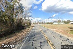 0 Chauncey Rhine Hwy Unit 20041417, Rhine, GA 31077