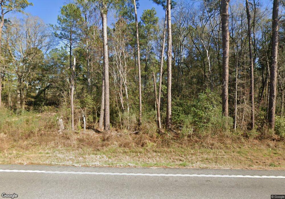 13154 Ga Highway 202, Ochlocknee, GA 31773 - photo 1