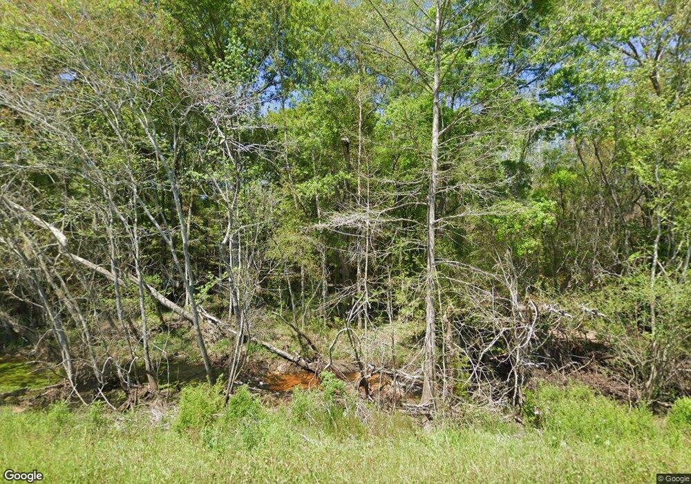 3881 Judge Lott Rd, Lenox, GA 31637 - photo 1