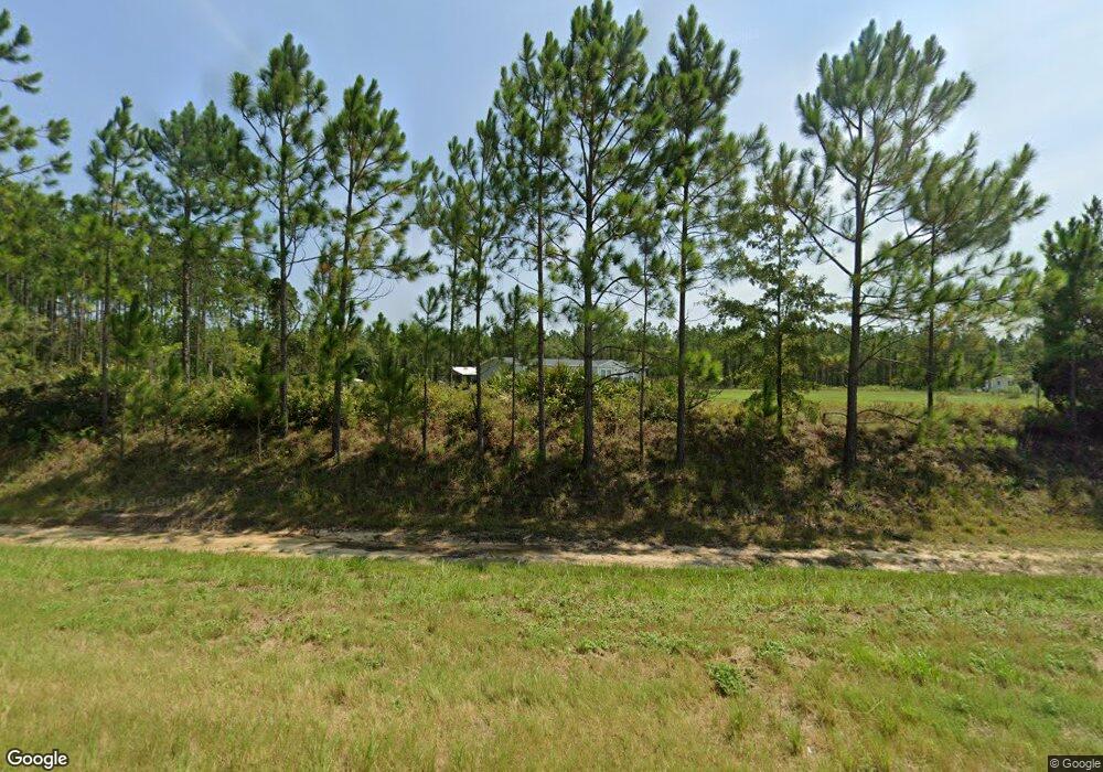 12752 Highway 121, Hoboken, GA 31542 - photo 1