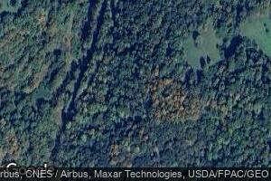 238 Walnut Fork, Alum Bridge, WV 26321