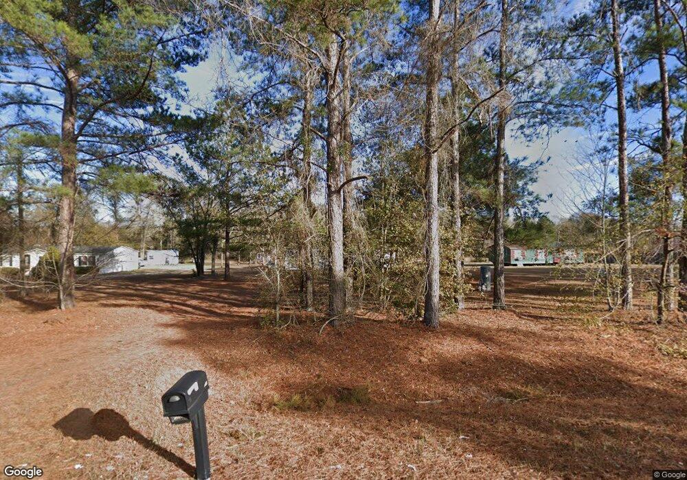857 Attapulgus Climax Rd, Climax, GA 39834 - photo 1