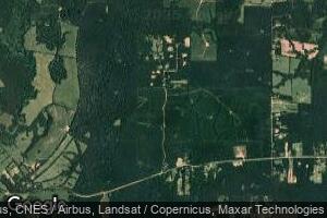 3-A-1 Joe Turner Ln, Clinton, LA 70722
