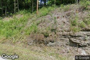 161 Elderberry Ln, Dingess, WV 25671