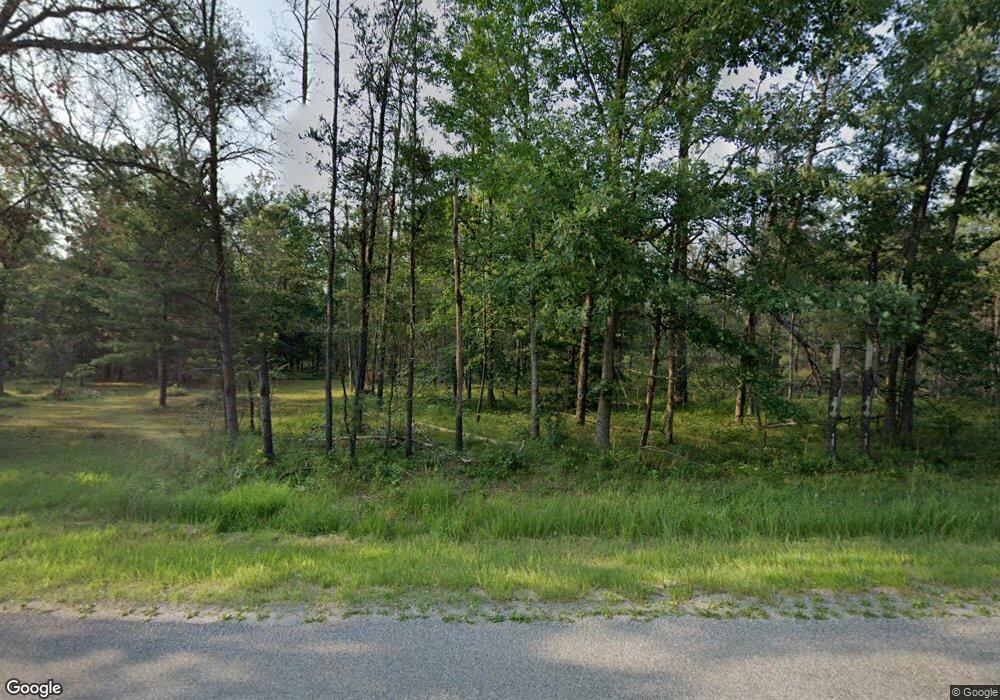 322 W 76th St, Baldwin, MI 49304 - photo 1