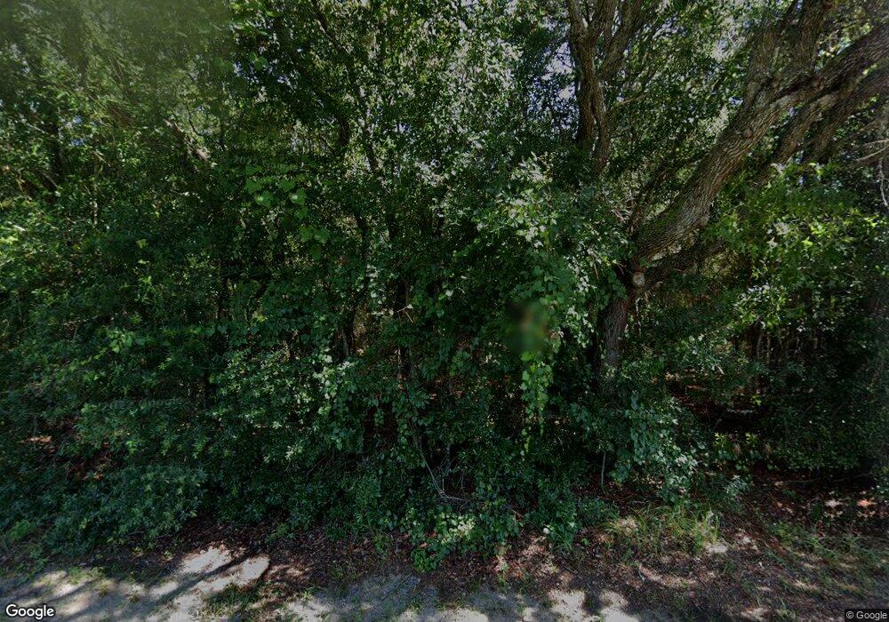 867 E Whitecloud Ln, Hernando, FL 34442 - photo 1