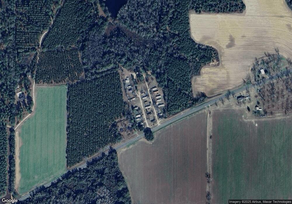 4852 Ga-262, Pelham, GA 31779 - photo 1