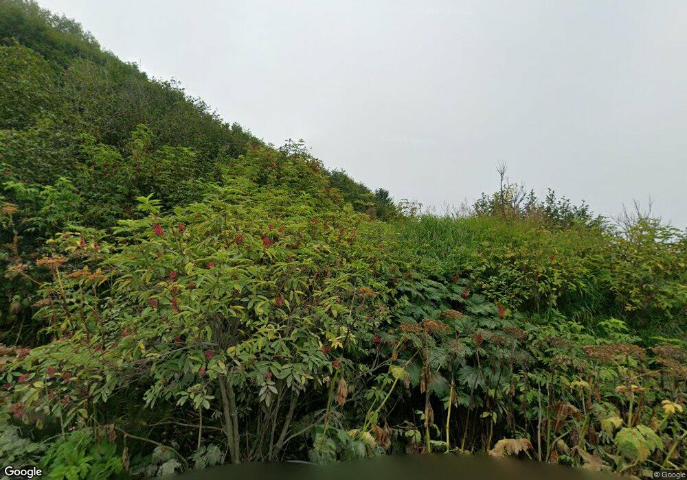 L3A Whisky Gulch, Anchor Point, AK - photo 1