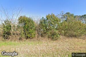 1182 Nine Dime Doctor Rd, Meigs, GA 31765