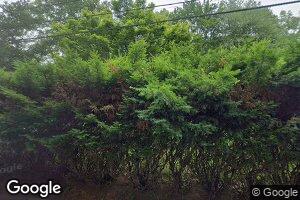 45 Pine St, Haworth, NJ 07641