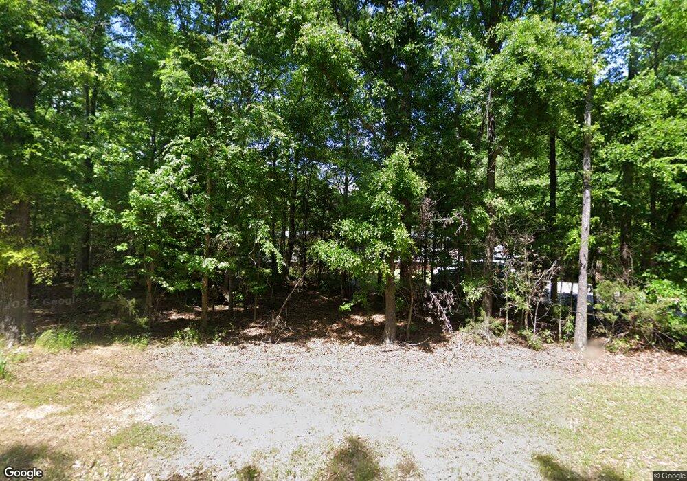 1016 Wilbur Bickley Rd, Chapin, SC 29036 - photo 1