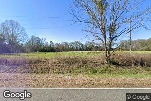 3158 Mount Vernon Alston Rd, Ailey, GA 30410