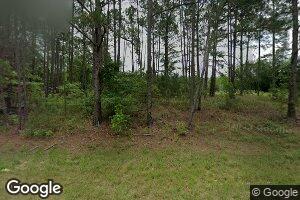 1176 Aubrey Paulk Rd, Ambrose, GA 31512