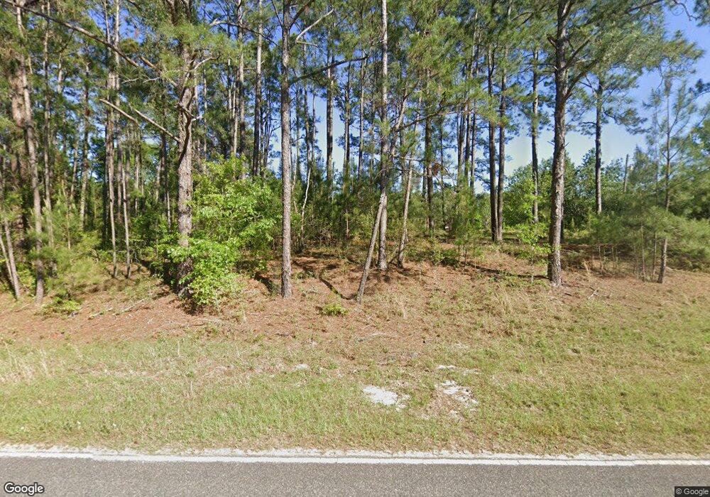 1176 Aubrey Paulk Rd, Ambrose, GA 31512 - photo 1