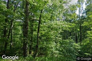 753 Morgan Run Rd, Burton, WV 26562