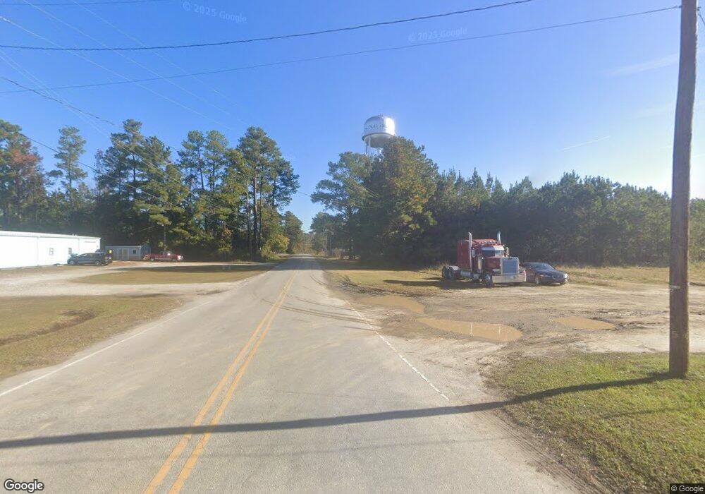 0 E Wilmington St, Burgaw, NC 28425 - photo 1