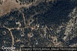 105 Crockett Trail, Ward, CO 80481