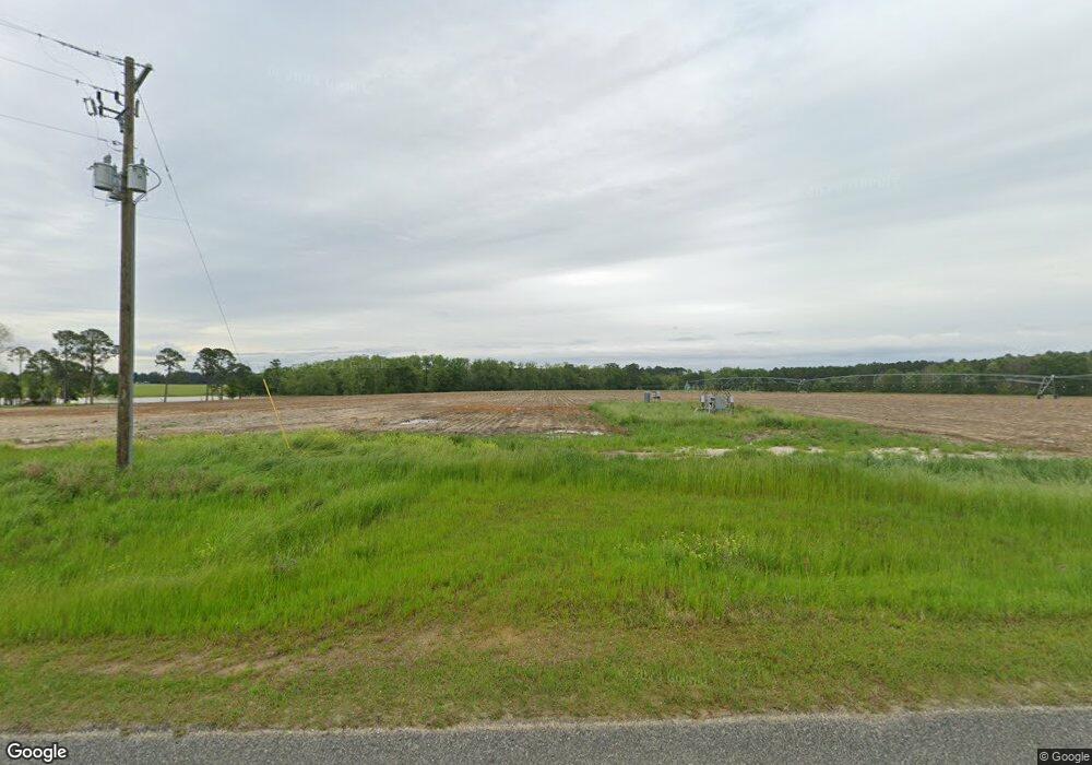 942 Perryman Rd, Hartsfield, GA 31756 - photo 1