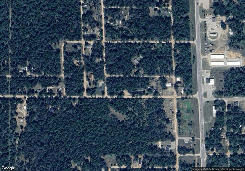 2662 W Springtime St, Baldwin, MI 49304 - photo 1