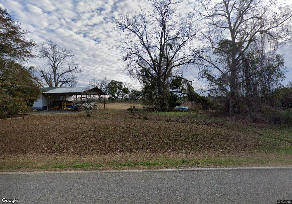 3679 Lake Douglas Rd, Climax, GA 39834 - photo 1