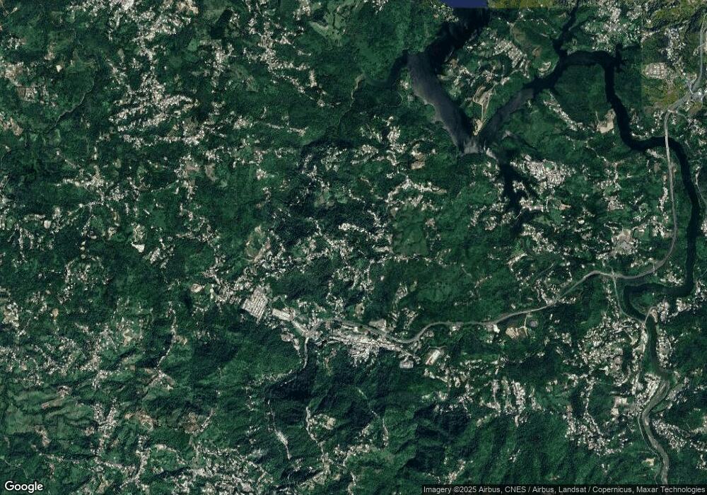 PR 825 Barrio Achiote unit Int KM 4.5, Naranjito, PR 00719 - photo 1