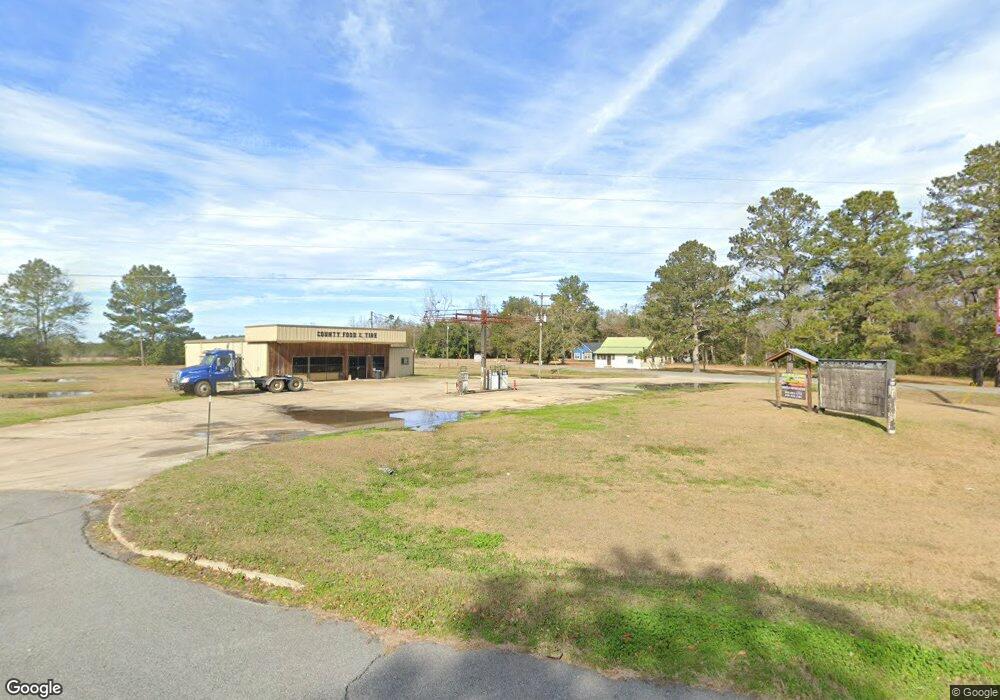 5324 Georgia 111, Whigham, GA 39897 - photo 1