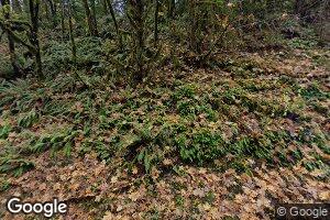 84439 Peninsula Rd, Fall Creek, OR 97438