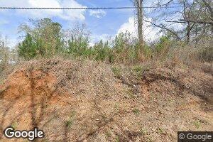366 E Morgan St, Georgiana, AL 36033