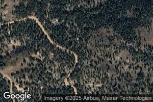 134 Grizzly Dr, Ward, CO 80481