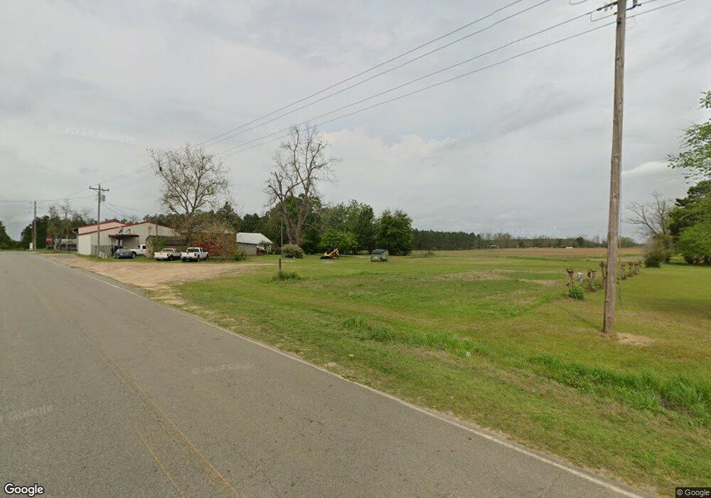 163 Pine Level Rd, Cairo, GA 39827 - photo 1