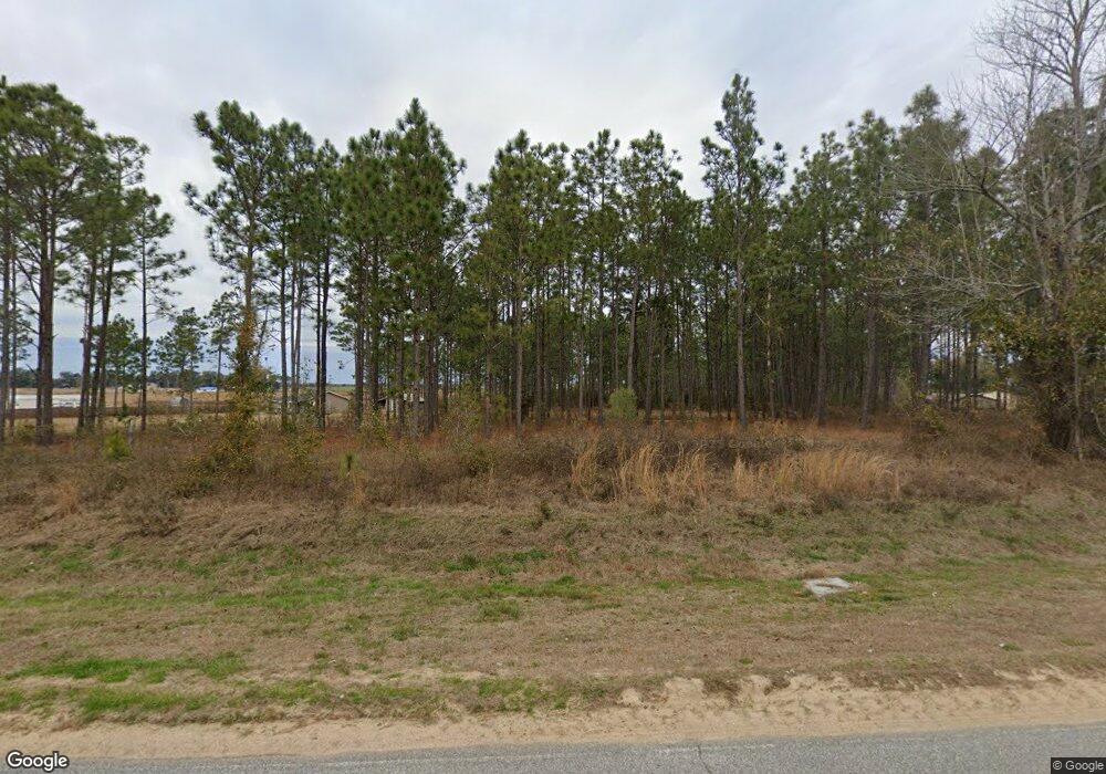 2401 Whites Bridge Rd, Colquitt, GA 39837 - photo 1