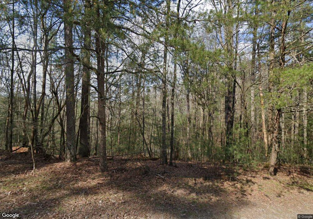 L3609 Birch Ct, Ellijay, GA 30540 - photo 1