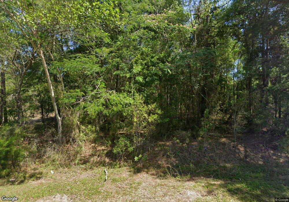 20581 SW Marine Blvd, Dunnellon, FL 34431 - photo 1